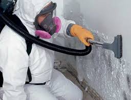 Best Mold Damage Restoration  in Mapleton, IA